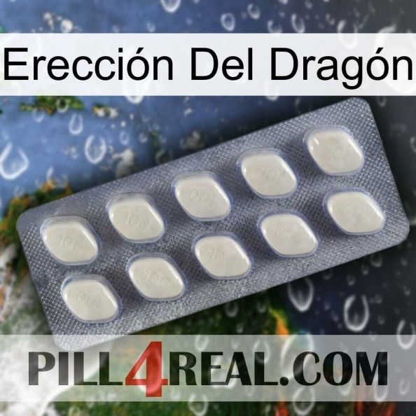 Erección Del Dragón 08.jpg